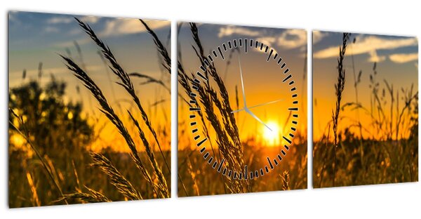 Tablou cu câmp în apus de soare (cu ceas) (90x30 cm)