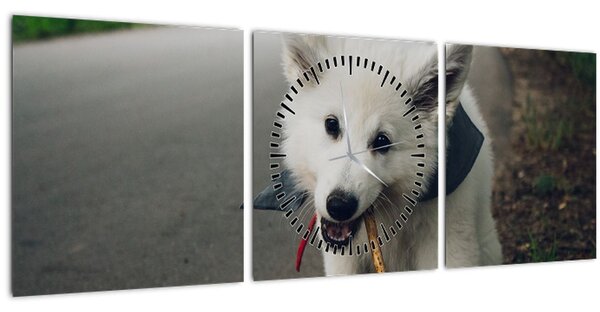 Tablou cu câinele alb (cu ceas) (90x30 cm)
