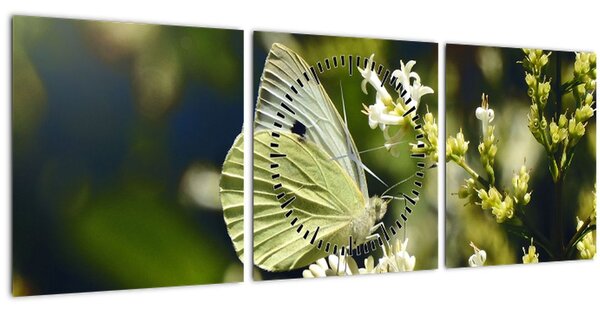 Tablou cu fluture (cu ceas) (90x30 cm)