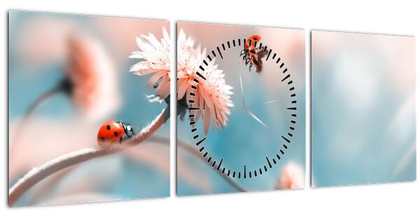 Tablou - Buburuze pe floare (cu ceas) (90x30 cm)