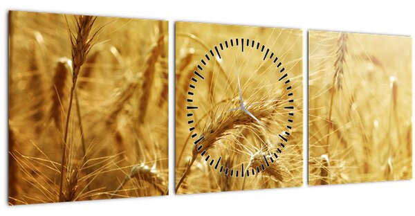 Tablou - Spice de cereale (cu ceas) (90x30 cm)