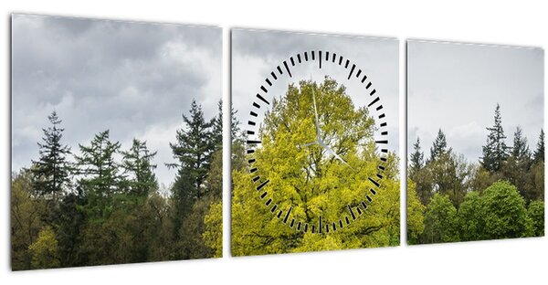 Tablou - Copac verde în câmp (cu ceas) (90x30 cm)