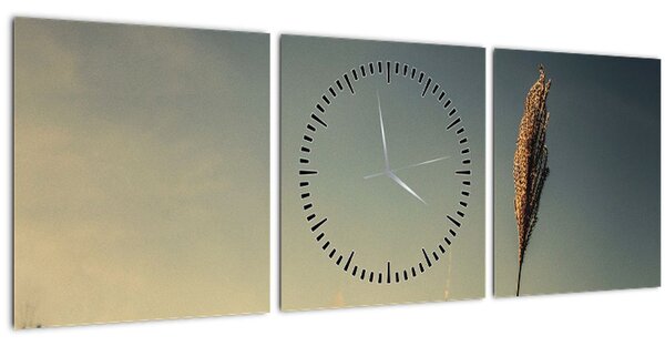 Tablou - Iarba (cu ceas) (90x30 cm)