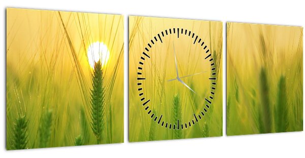 Tablou - Câmp cu cereale (cu ceas) (90x30 cm)