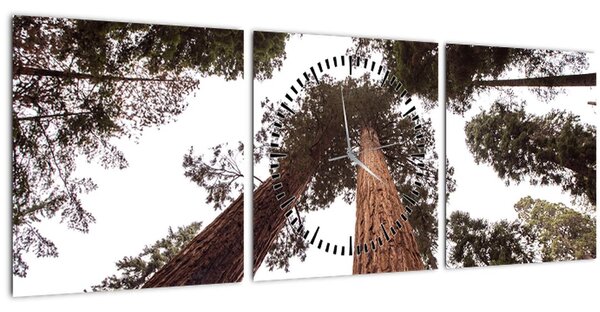 Tablou - Privire prin vârfurile copacilor (cu ceas) (90x30 cm)