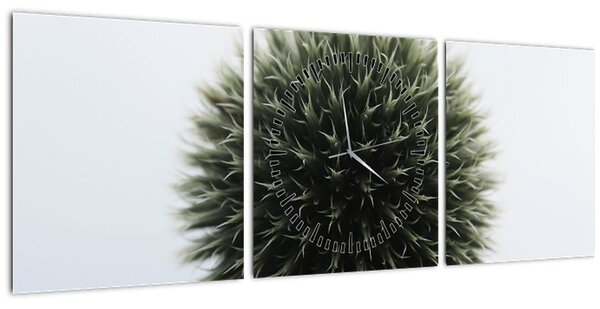 Tablou - Sfere de flori (cu ceas) (90x30 cm)