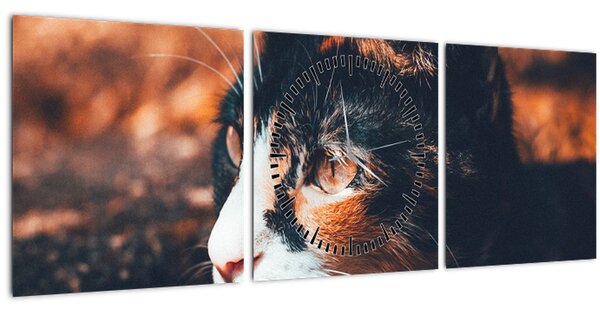 Tablou - Privirea pisicii (cu ceas) (90x30 cm)