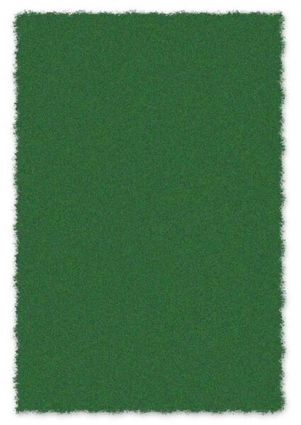 Covor pufos uni, Panda 1040-1-64000, Verde, design Shaggy