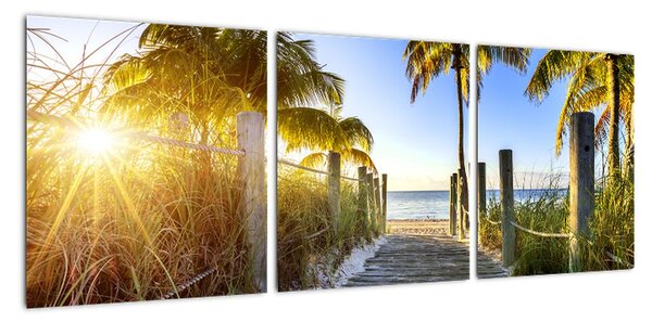 Tablou modern a unui apartament - un paradis tropical
