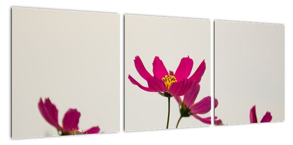 Tablou modern