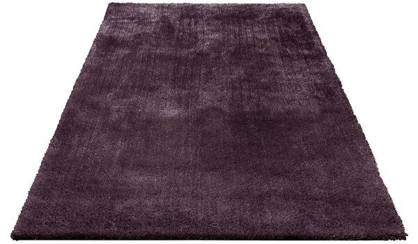 Covor Dana Bruno Banani pruna 160/230 cm