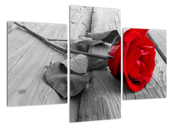Tablou - trandafir cu flori ro?ii (90x60cm)