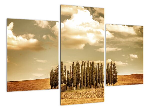 Tablou modern (90x60cm)