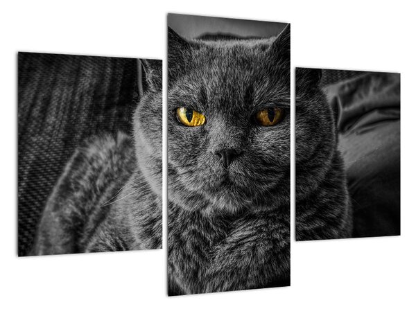 Tablou modern (90x60cm)