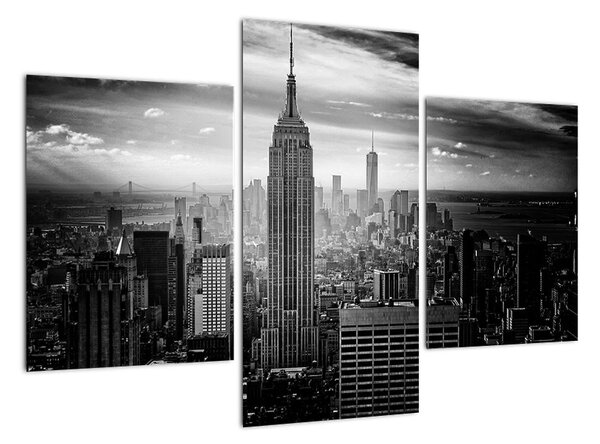Tablou modern (90x60cm)