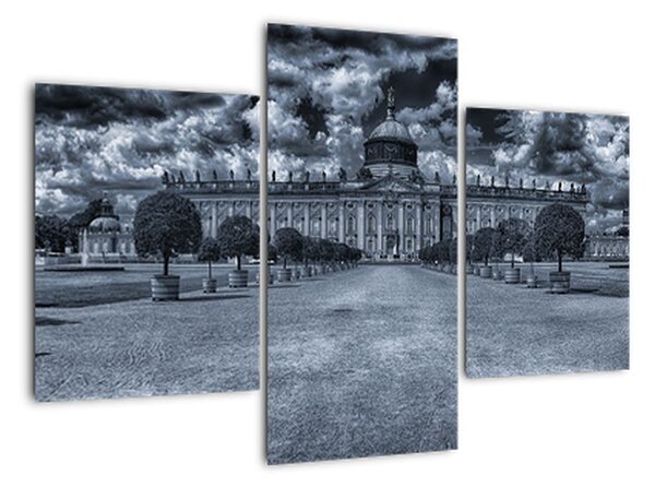 Tablou modern (90x60cm)