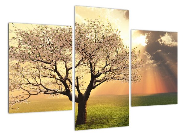 Tablou modern (90x60cm)
