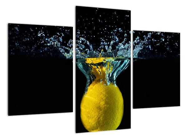 Tablou modern (90x60cm)