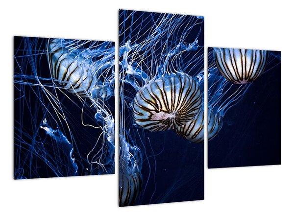 Tablou modern (90x60cm)