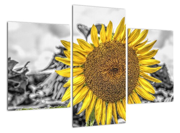 Tablou modern (90x60cm)