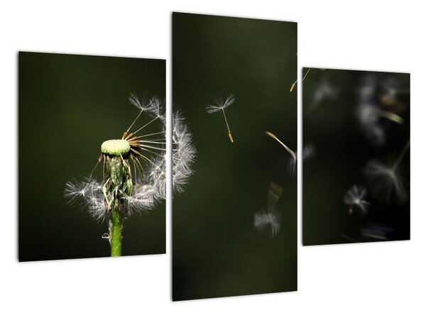 Tablou modern (90x60cm)