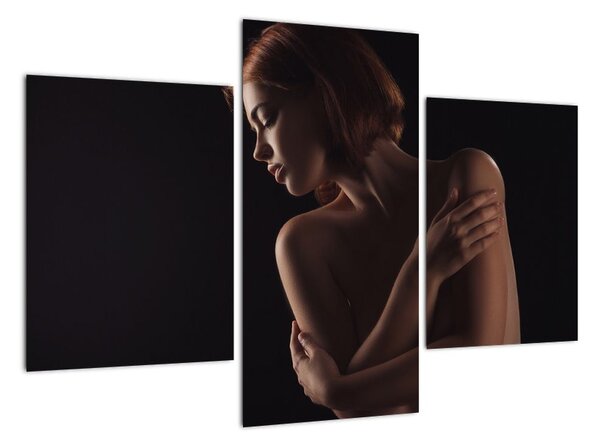 Tablou modern (90x60cm)