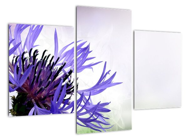 Tablou modern (90x60cm)