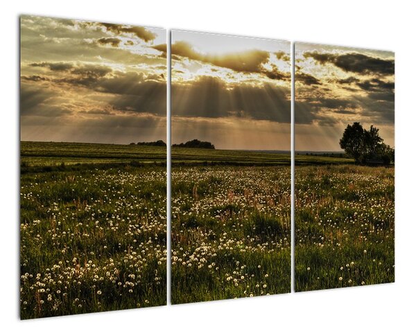 Tablou modern - natura