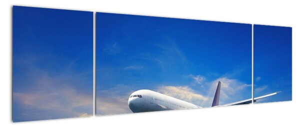 Tablou modern (170x50cm)