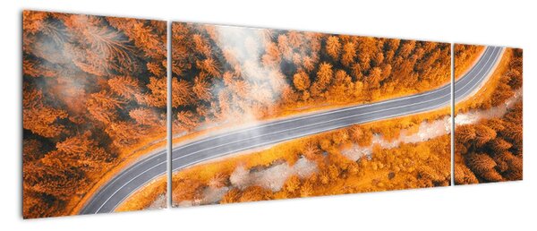 Tablou modern (170x50cm)