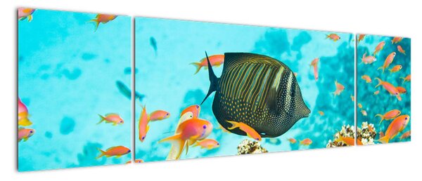 Tablou modern (170x50cm)