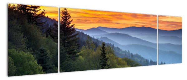 Tablou modern (170x50cm)