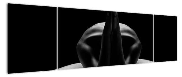 Tablou modern (170x50cm)