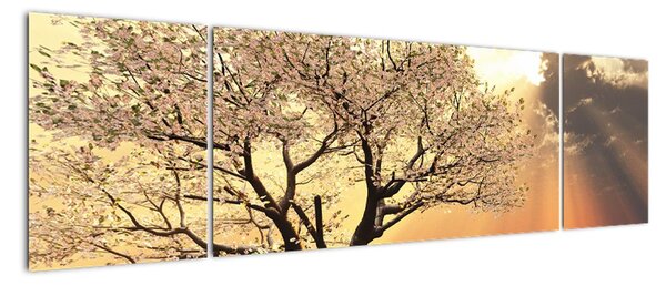 Tablou modern (170x50cm)