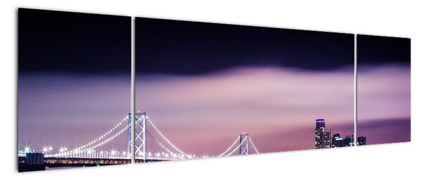 Tablou modern (170x50cm)