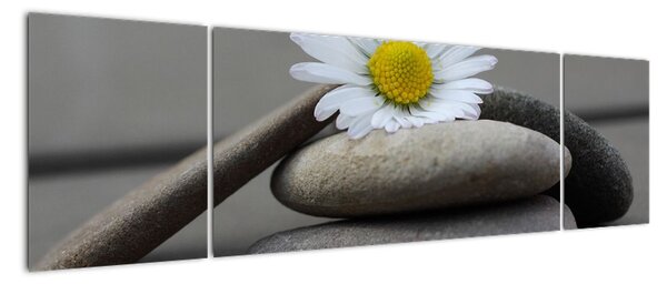 Tablou modern (170x50cm)