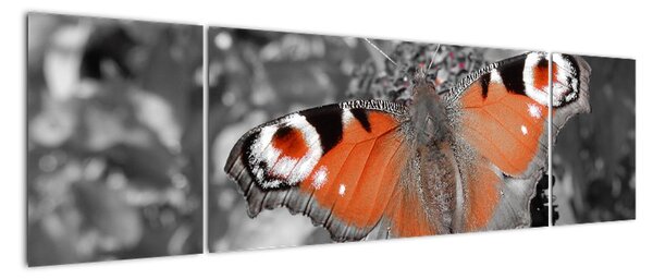 Tablou modern (170x50cm)