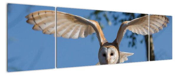 Tablou modern (170x50cm)