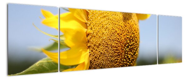 Tablou modern (170x50cm)