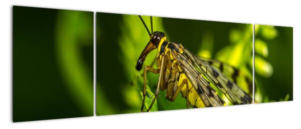 Tablou modern (170x50cm)