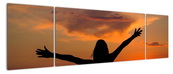 Tablou modern (170x50cm)