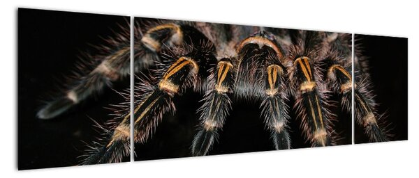 Tablou modern (170x50cm)