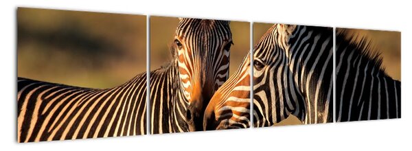 Tablou - zebre (160x40cm)