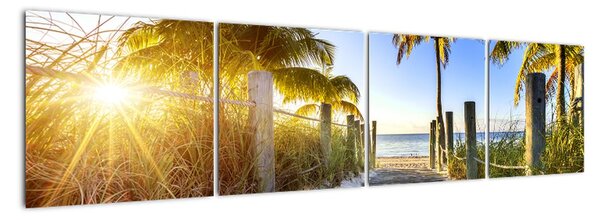 Tablou modern a unui apartament - un paradis tropical