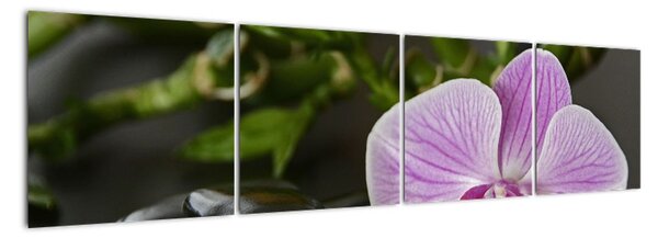 Tablou modern (160x40cm)