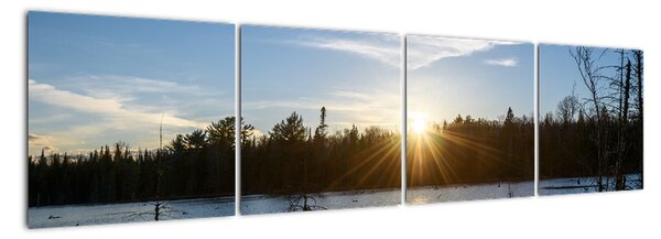 Tablou modern (160x40cm)
