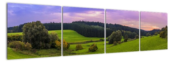 Tablou modern (160x40cm)