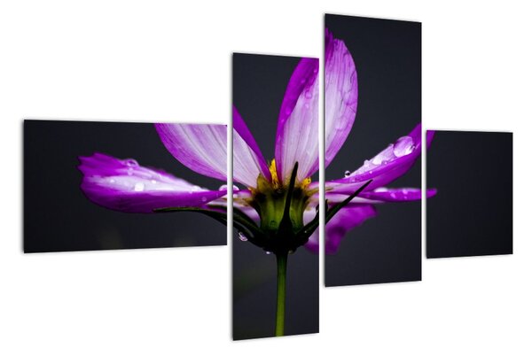 Tablou modern (110x70cm)