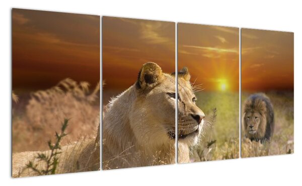 Tablou de animale (160x80cm)