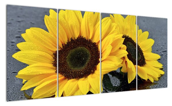 Tablou - floarea-soarelui (160x80cm)